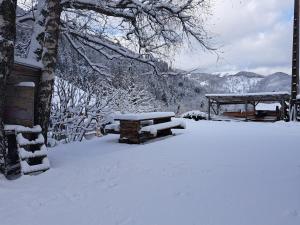 Chalets Le Refuge du Bucheron : photos des chambres