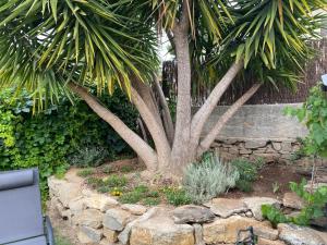 Appartements Bel Air -les Restanques : Maison 2 Chambres