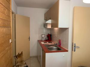 T3 idéal ski et randonnée en famille