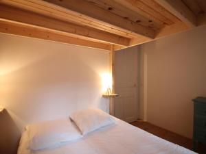 Appartements Mont-Dore : Charmant T2 a 100m du marche avec WIFI au pied du Puy de Sancy - FR-1-608-197 : photos des chambres