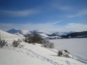 Mont-Dore: T2 avec Balcon, Parking Couvert, 4 pers. - FR-1-608-109