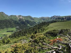 Appartement T2 au Mont-Dore, 4 pers, vue montagne - FR-1-608-108