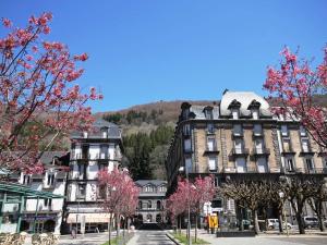 Mont-Dore: Appartement 2 pièces proche Thermes, Pratique pour 4 - FR-1-608-112