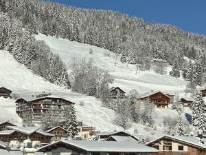 Les Gets - Charmant Appartement 3* au Centre, Proche Pistes, 2 Chambres, 68 pers, Parking Inclus - FR-1-623-72