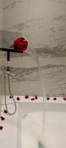 Eveline 2 - Piscina Privata o Jacuzzi