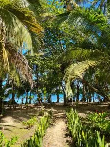 Drago Beach House - Private Beach - 博卡德拉戈