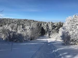 Mont-Dore: Bel T3 Rénové au Centre avec WiFi - FR-1-608-22