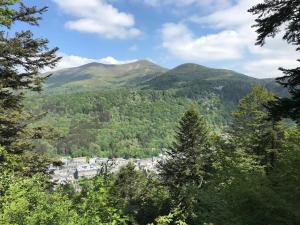 Appartements Mont-Dore T3 Duplex avec WIFI et Animaux admis - FR-1-608-26 : photos des chambres