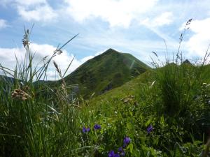 Appartements Charmant T1 au Mont-Dore, balcon, hyper centre, bien equipe, max 4 pers. - FR-1-608-38 : photos des chambres