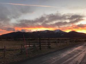 Appartements Appartement T2 Central avec Ascenseur et WIFI au Mont-Dore - FR-1-608-63 : photos des chambres