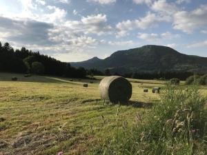 Appartements Mont-Dore Centre: T2 Bis 4 Pers, Wifi, Tout Equipe - FR-1-608-89 : photos des chambres