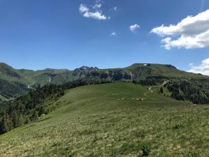 Appartements T2 de Standing a 300m des Thermes du Mont-Dore avec Parking et Ascenseur - FR-1-608-99 : photos des chambres