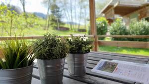 Campings Camping Les Vernieres La Bourboule Sancy : Chalet 2 Chambres