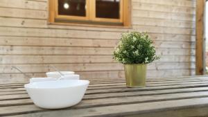 Campings Camping Les Vernieres La Bourboule Sancy : Chalet 2 Chambres