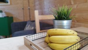 Campings Camping Les Vernieres La Bourboule Sancy : photos des chambres