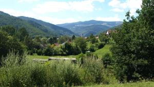 Maisons de vacances Gite du Durrenbach : photos des chambres