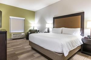 Standard King Room room in Holiday Inn Express & Suites New Martinsville an IHG Hotel