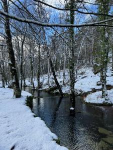 Casa da Adega - Quinta da Portela