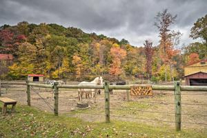 obrázek - James West Apt with 50 and Acres - Near Raystown Lake