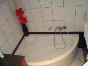 Apartment Monte Rosa