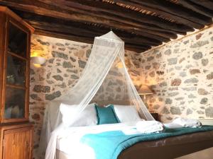 Cotommatae Hydra 1810