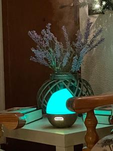 NadSan Mountain House