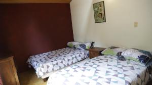 Arte sin Fronteras Hostel