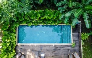 Satta Lodge - Punta Uva