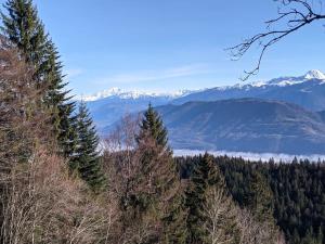 Maisons de vacances Maison familiale en montagne avec vue merveilleuse sur le massif de Belledonne : photos des chambres