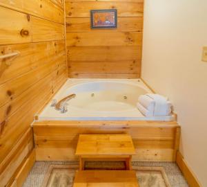 ER307- Eagles View- Great location- Close to town cabin