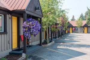 Superior Triple Room room in Gannett Peak Lodge