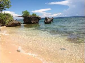 Isla de Paz Beach Resort