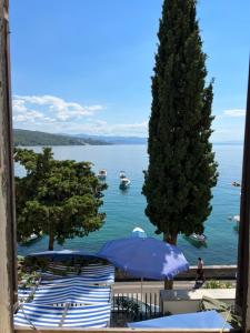 Apartment Mirna - what you see is what you get