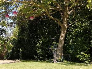 Maisons de vacances Le gite d'Eva : photos des chambres