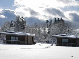 Campings Auvergne chalets Sancy : photos des chambres