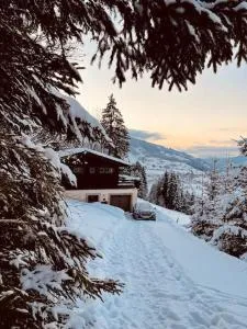 Haus an der Planai (Pistenzugang & Panoramablick) - Postlehen