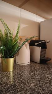 Visconde By Albufeira Rental