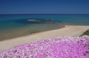 Affittimoderni Valledoria Sunset - CICA10 img23