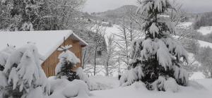 Maisons de vacances NORDIQUES DE LA WELCHE : photos des chambres