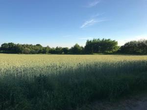 4 Zimmer Wohnung mit 6 Betten nahe Hamburg