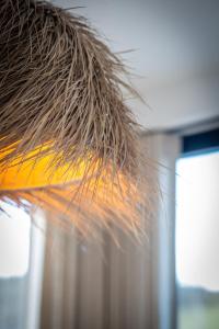 Het Duinterras, Quiet and cozy with big terras