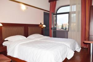 Double or Twin Room with Balcony room in Hotel Elysee