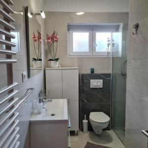 Apartments Villa Odesa with shared pool