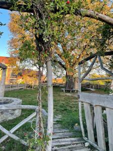 Kastély gróf Zichy