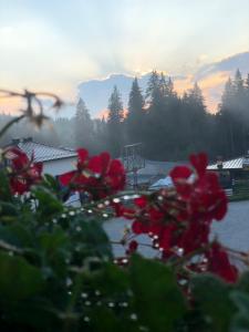 Luxury Apartments Studenets