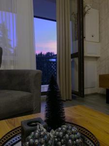 Luxury Apartments Studenets