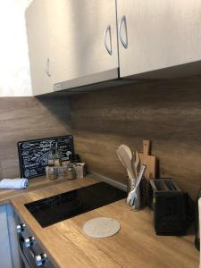 Luxury Apartments Studenets