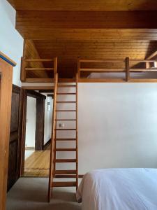 Ski in Ski Out Superb Attic Apartment in Les Esserts