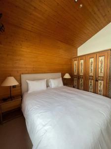 Ski in Ski Out Superb Attic Apartment in Les Esserts