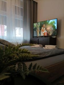 Apartament Marysia Sławno